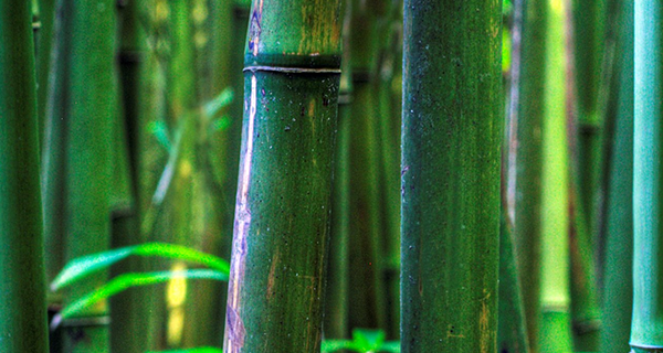 常見的房地產3D動畫制作案例有哪些？