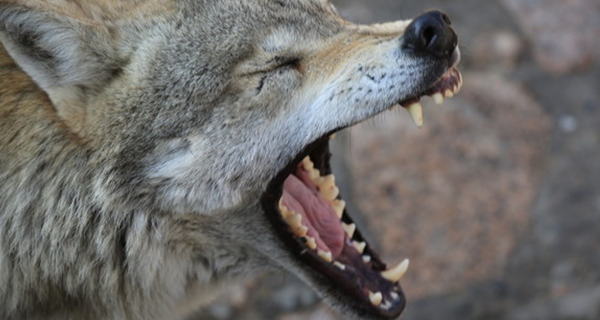 瓜子指南：怎樣拍攝新穎且極具傳播力企業宣傳片？