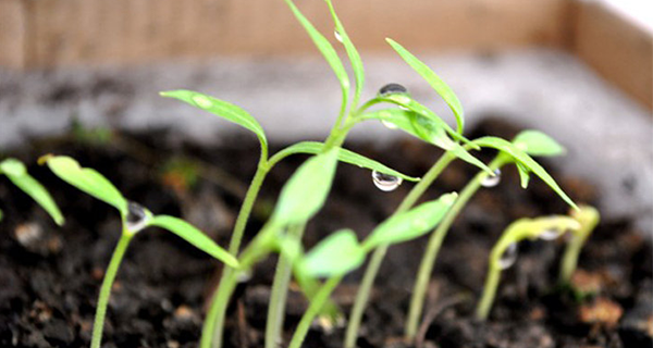 企業宣傳片拍攝怎樣體現客戶的想法？