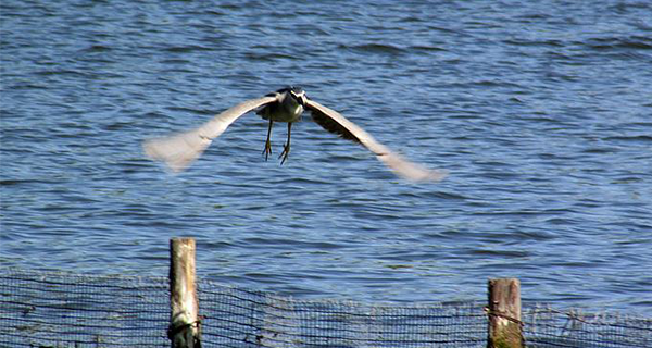 企業宣傳片拍攝剪輯如何進行完美的鏡頭切換？