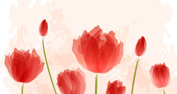 企業宣傳片制作白描手法？直面您最真實的企業需求