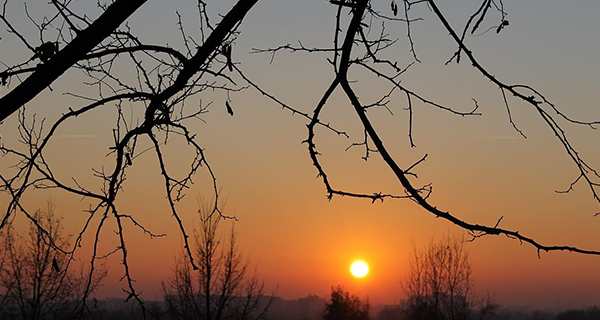 紅瓜子_企業宣傳片白描手法_企業宣傳片制作視頻推廣營銷