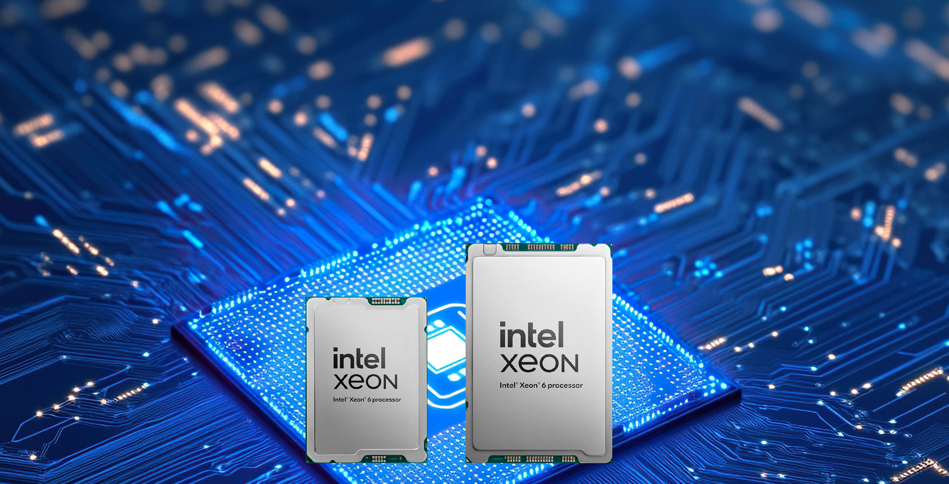 紅瓜子傳媒-banner